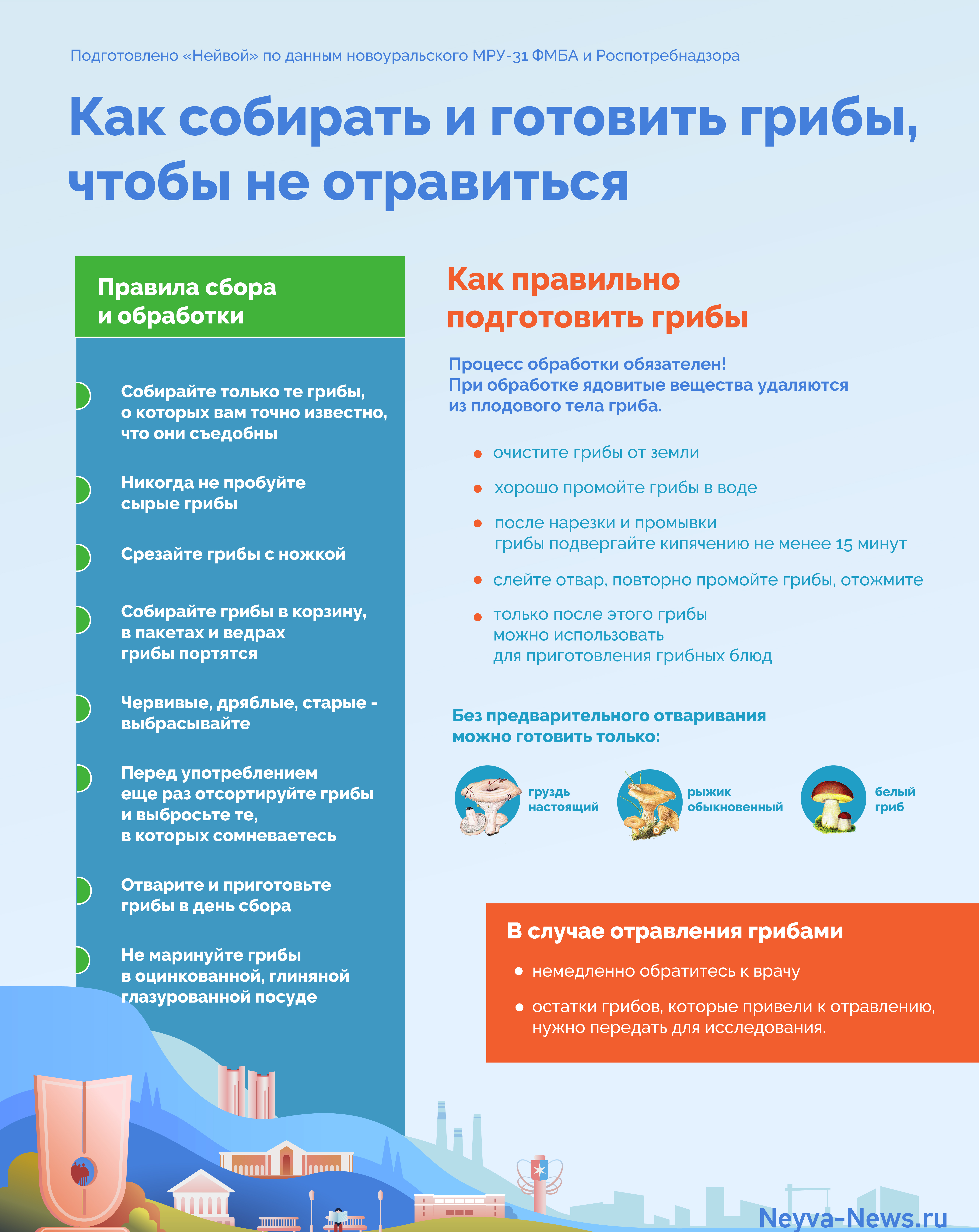 Как собирать грибы инфографика