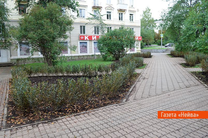 Сквер в 45 магазина