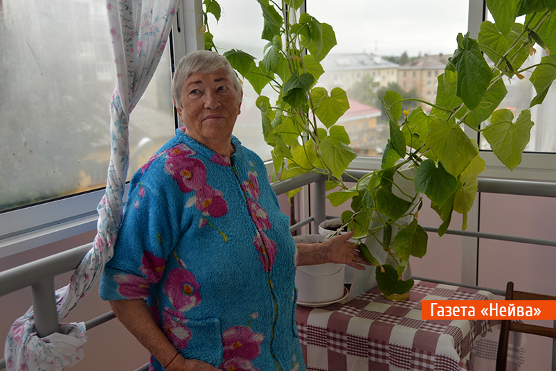 Жители "чешуйчатых" домов на Ленина