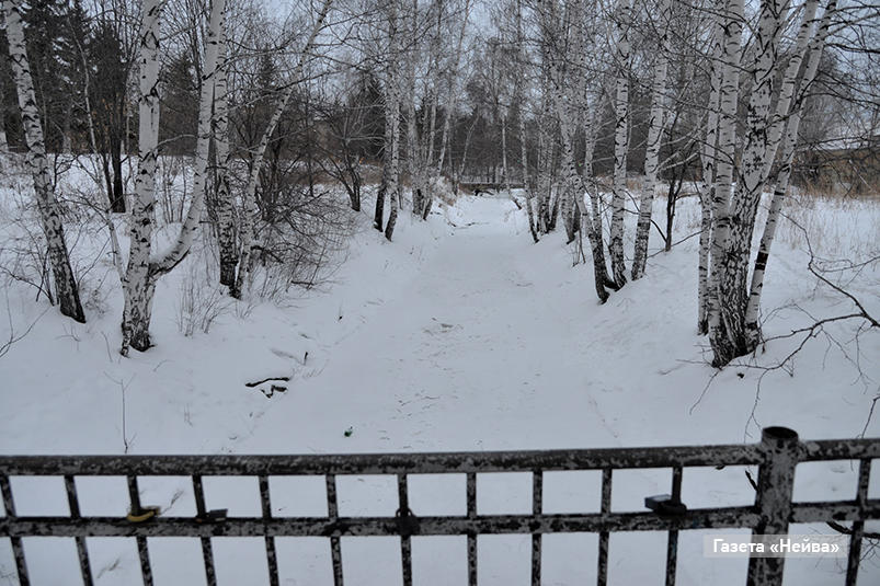 Быстроток Бунарки