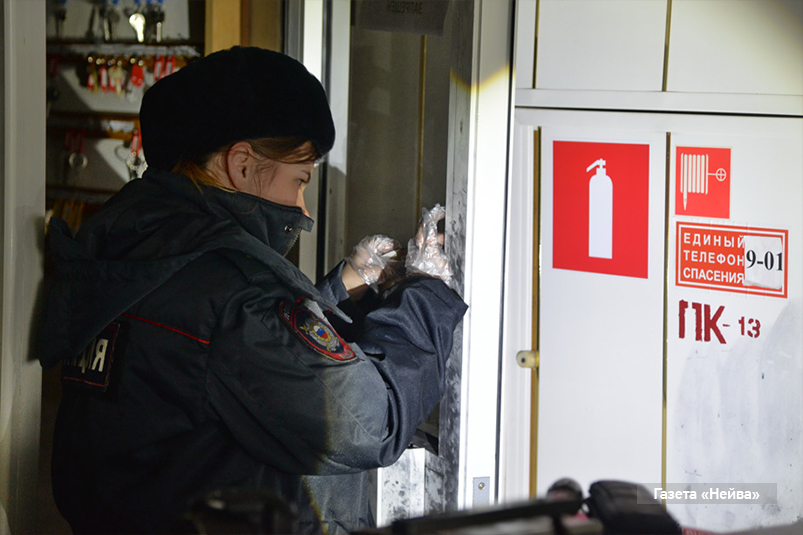 кража в "Зеленом мысе"