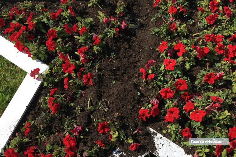 Аллея боевой славы в Новоуральске