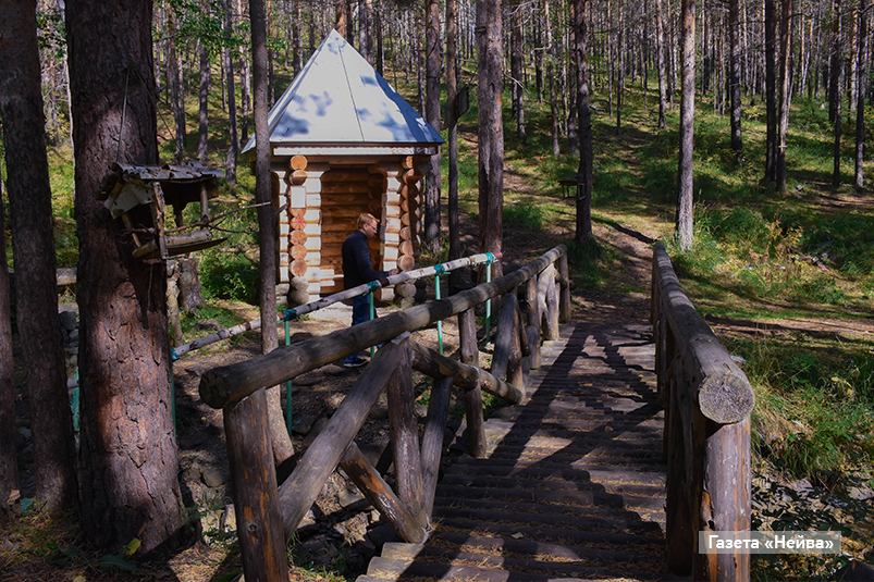 Родник "Зеленое сердце" в лесу на Советской