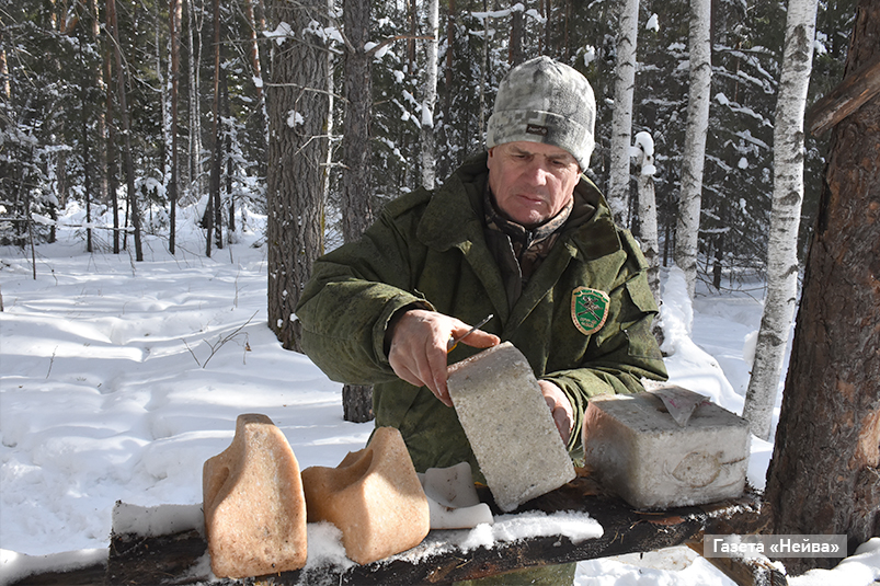 верх-нейвинское охотхозяйство