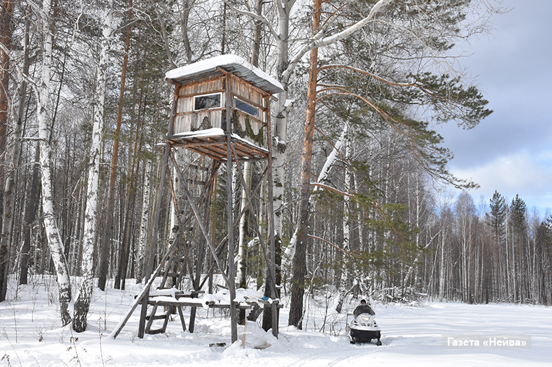 верх-нейвинское охотхозяйство