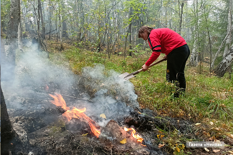 Пожар на Заплотном шоссе