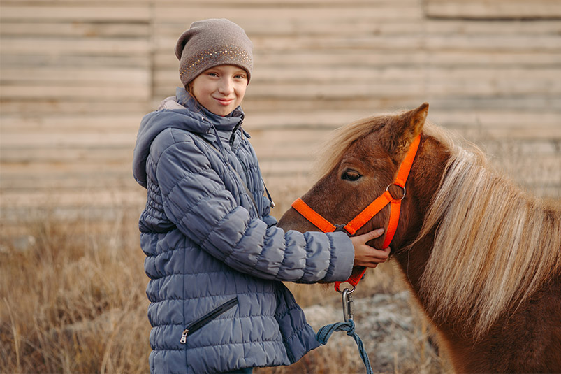 конноспортивный клуб "Круиз"