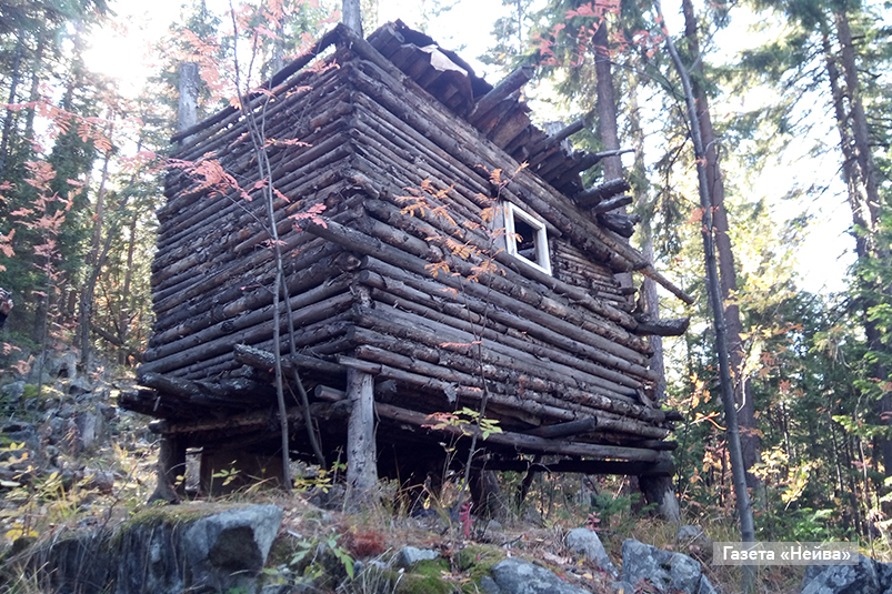 Васильховая тропа