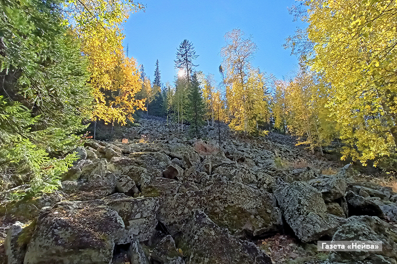 Васильховая тропа