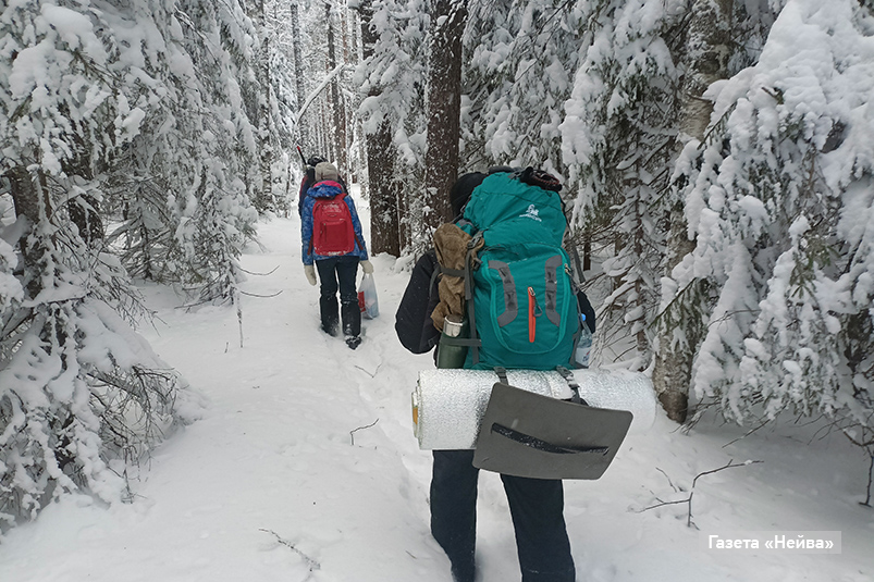 Лес в Новоуральске