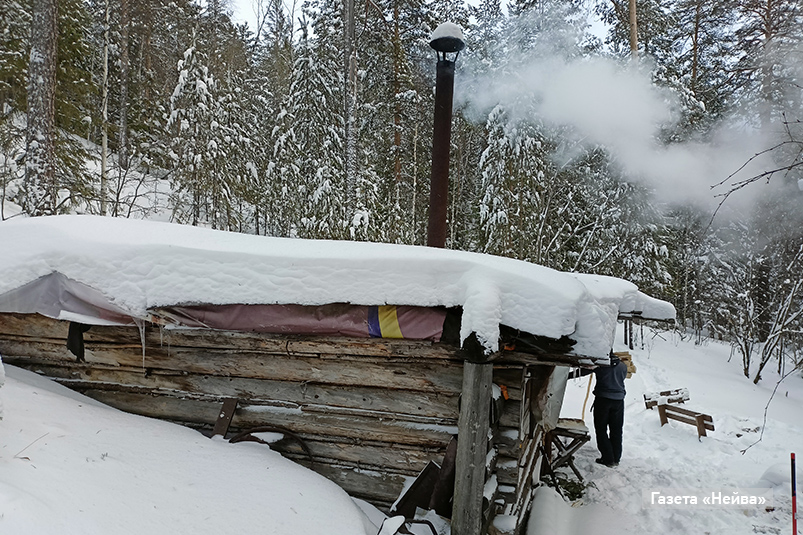 Лес в Новоуральске