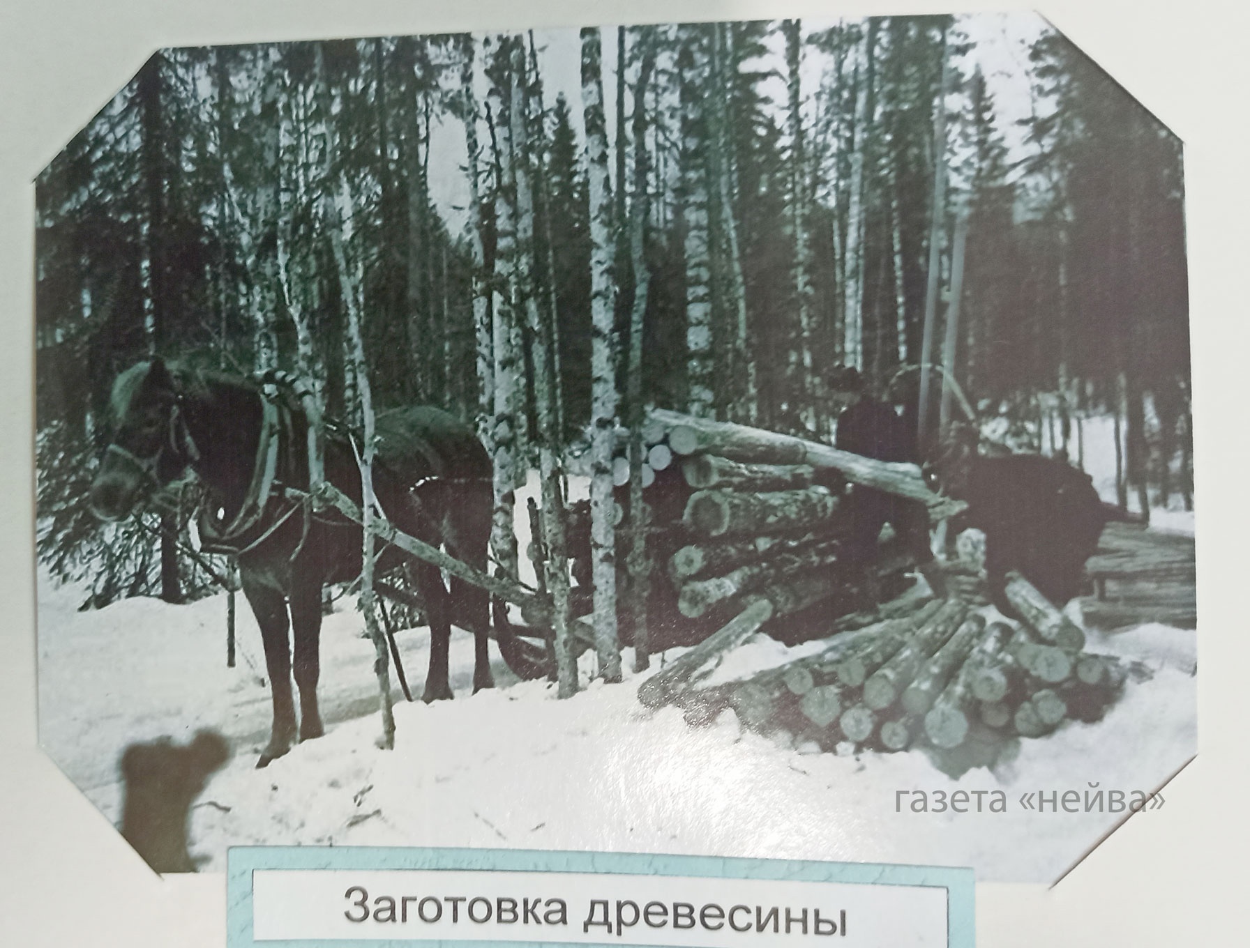 Новоуральск