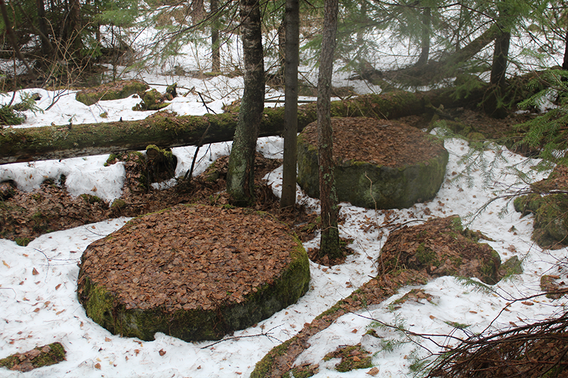 Попов остров
