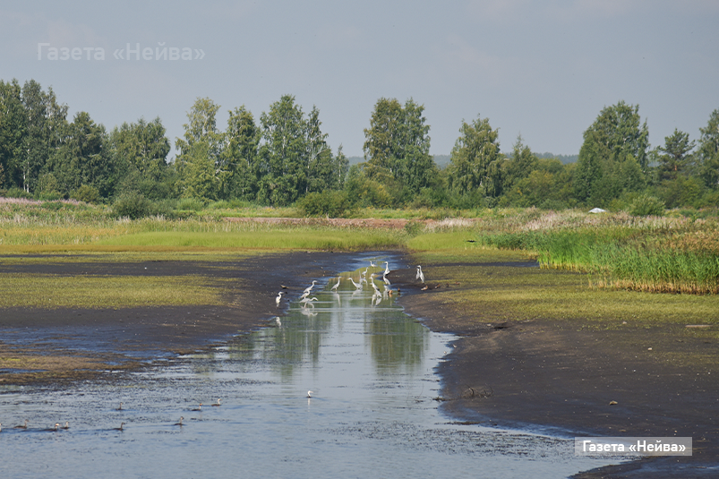 Молодые учителя Новоуральска