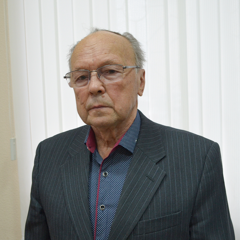 Анатолий Воронцов, член Общественной палаты: