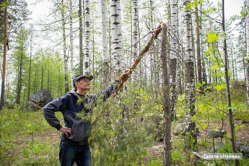 Тагир Динисламов